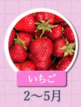 いちご　2月～5月