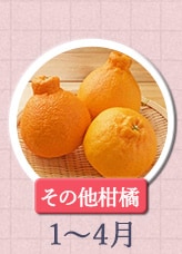 その他柑橘 1月〜4月