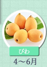 びわ　4月～6月
