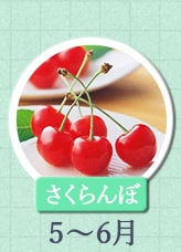 さくらんぼ 5月～6月