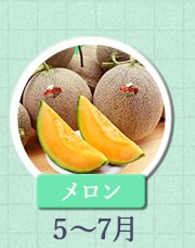 メロン　5月～7月