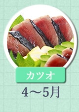 カツオ 4月～5月