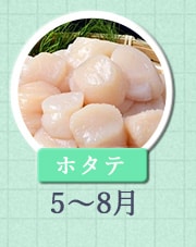 ホタテ 5月～8月