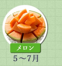 メロン　5月～7月
