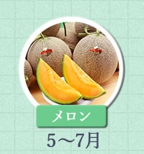 メロン 5月〜7月