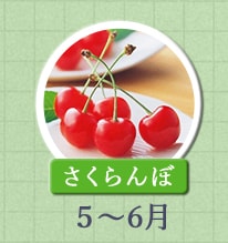 さくらんぼ 5月～7月