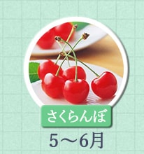 さくらんぼ 5月〜6月