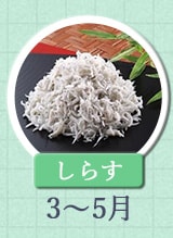 しらす 3月〜5月