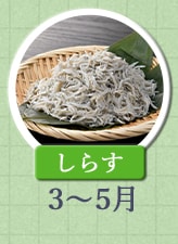 しらす 3月～5月