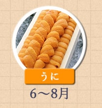 うに 6月～8月