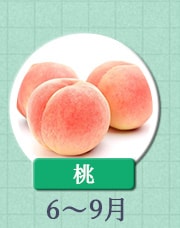 桃　6月～9月