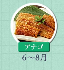 アナゴ 6月～8月