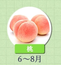 桃　6月～8月