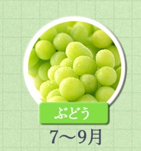 ぶどう 7月～9月