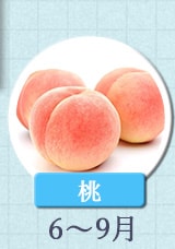 桃　6～9月