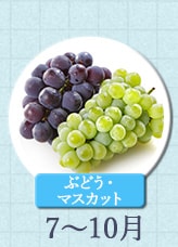 ぶどう・マスカット 7月～10月