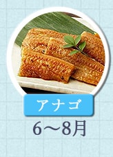 アナゴ 6月～8月