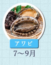 アワビ 7月～9月