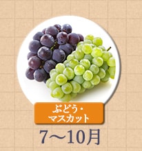 ぶどう・マスカット 7月～10月