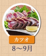 カツオ 8月～9月
