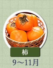 柿　9月〜11月