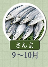 さんま 9月〜10月