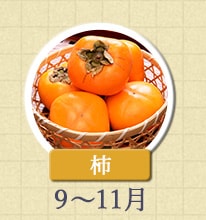 柿　9月～11月