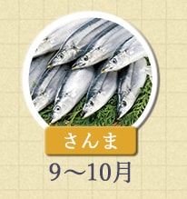 さんま 9月～10月