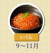 いくら 9月～11月