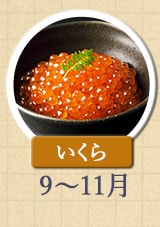 いくら 9月～11月