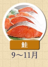 鮭 9月～11月