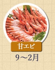 甘エビ 9月～2月