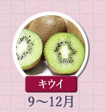 キウイ　9月〜12月