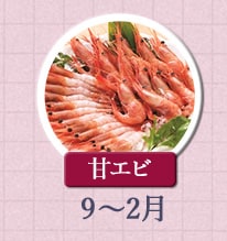 甘エビ 9月〜2月