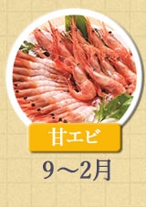 甘エビ 9月〜2月