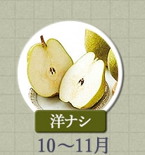 洋ナシ　10月～11月