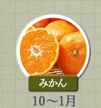 みかん 10月～1月
