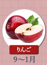 りんご　9月〜1月
