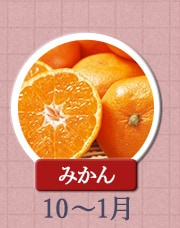 みかん　10月〜1月