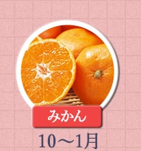 みかん　10月〜1月