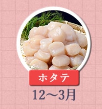 ホタテ 12月〜3月