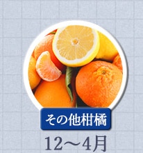 その他柑橘 12月〜4月