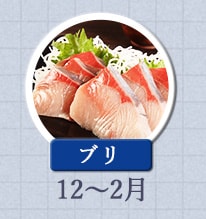 ブリ 12月〜2月