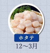 ホタテ 12月〜3月