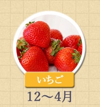いちご　12月〜4月