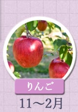 りんご　11月〜2月