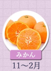 みかん 11月〜2月