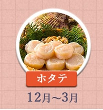 ホタテ 12月～3月