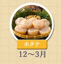 ホタテ 12月〜3月