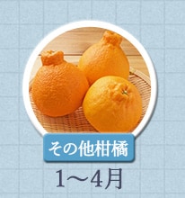 その他柑橘　1月〜4月